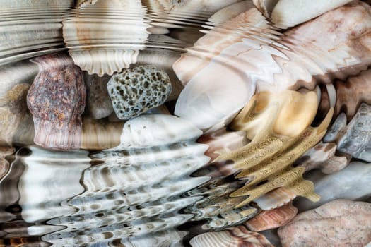 Detail of the water ripples above pebbles and seashells
