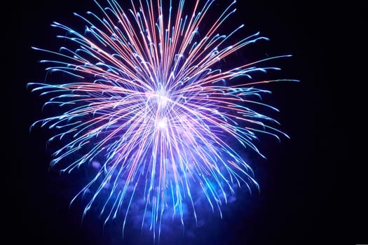 Blue colorful fireworks on the black sky background
