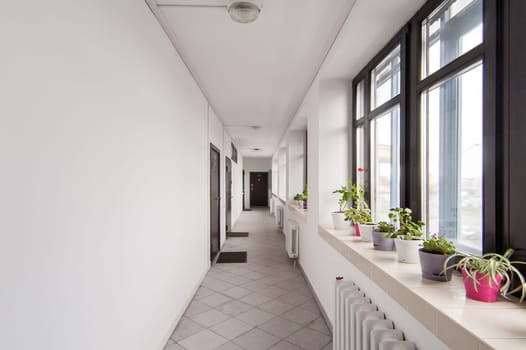Russia, Moscow- May 12, 2018: interior room apartment. standard repair decoration in hostel