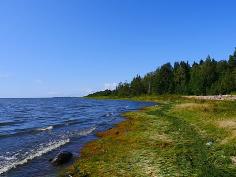scenic view of the shore of the blue lake  in a sunny day