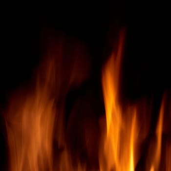 Abstract fire isolated on the black background