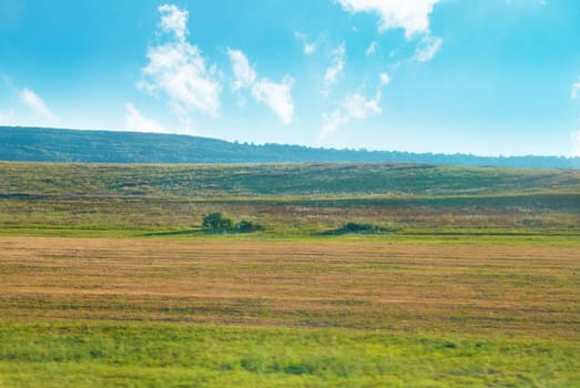 Green field with grass and blue beautiful cloudy sky