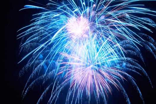 Blue colorful fireworks on the black sky background