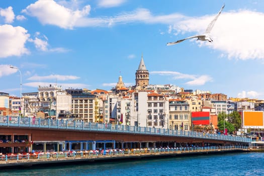 The Galata Bridge and the Galata Tower in Istanbul, Turkey.