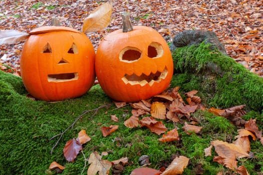 Two pumpkins in the woods with cutout scary faces for halloween