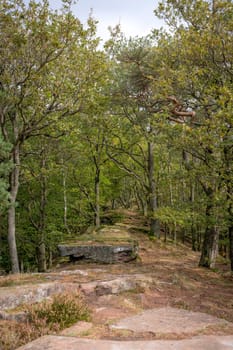 Path on a ridge through an autumnal deciduous forest with rocks