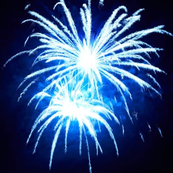 Blue colorful fireworks on the black sky background