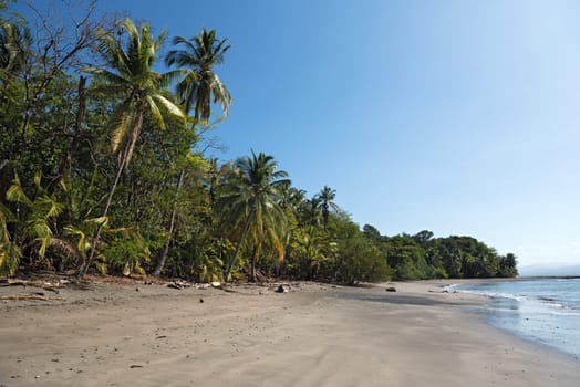 beautiful sandy beach on the island cebaco panama
