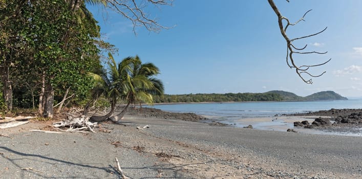 beautiful sandy beach on the island cebaco panama