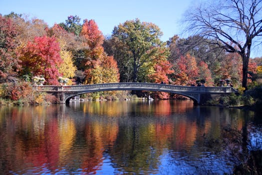 Fall and foliage in Central Park