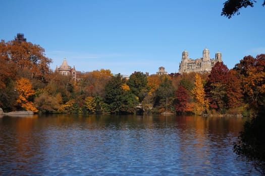 Fall and foliage in Central Park