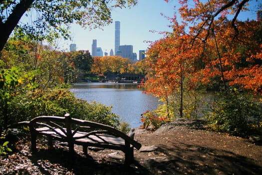 Fall and foliage in Central Park