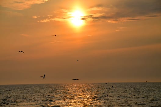 sunset on the beach