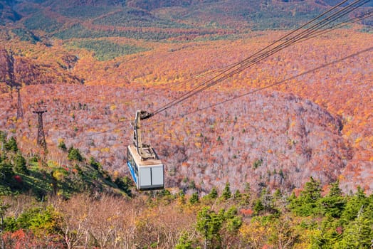 Aerial view of red leaf autumn fall season for Forest wodland From Hakkoda Mountain with Hakkoda Ropeway in Aomori Tohoku Japan