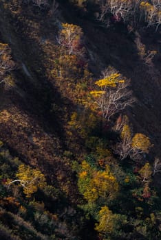 Landscape of Autumn Fall of Hakuba Valley in Nagano Chubu Japan