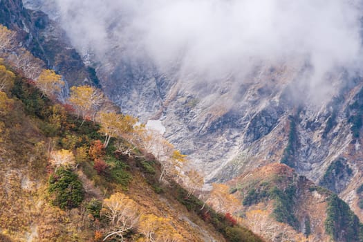 Landscape of Autumn Fall of Hakuba Valley in Nagano Chubu Japan