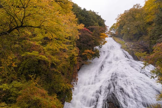 Autumn fall forest at Yudaki Falls at Nikko Tochigi Japan