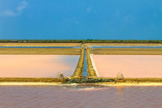 Salt in the Saline in rural Thailand