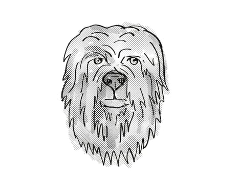 Retro cartoon style drawing of head of a Briard, a domestic dog or canine breed on isolated white background done in black and white.