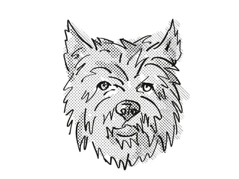 Retro cartoon style drawing of head of a Cairn Terrier, a domestic dog or canine breed on isolated white background done in black and white.