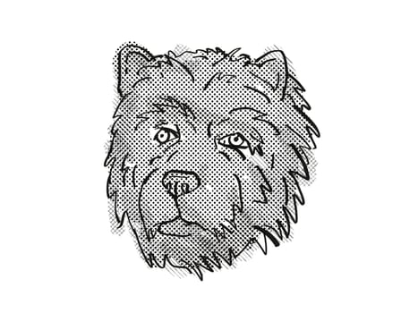 Retro cartoon style drawing of head of a Chow Chow, a domestic dog or canine breed on isolated white background done in black and white.