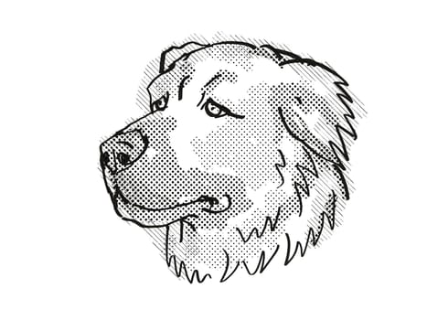 Retro cartoon style drawing of head of a Caucasian Shepherd or Caucasian Mountain Dog or  Baskhan Pariy, a domestic dog breed in black and white.