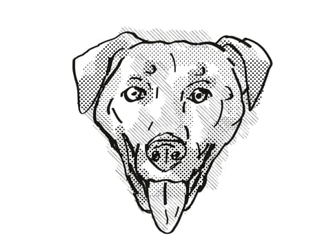 Retro cartoon style drawing of head of a Chinook , a domestic dog or canine breed on isolated white background done in black and white.