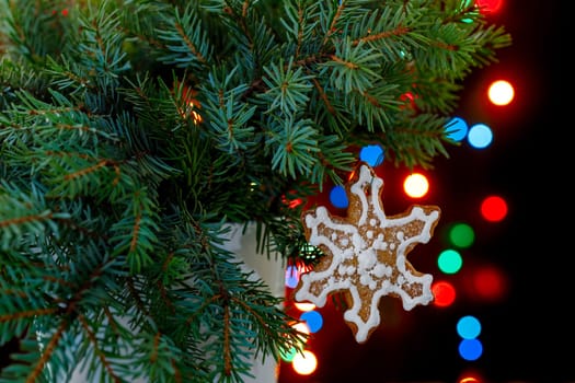 Twigs of blue on a background of Christmas bokeh and a toy cookie in the shape of a snowflake