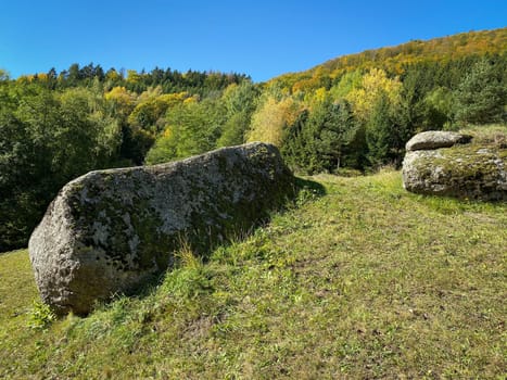 Landscape Autumn, meadow and forest in the color of october