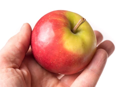 causasian hand holding apple isolated on white background