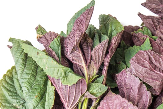 Red and green Organic amaranth leaves isolated on white background