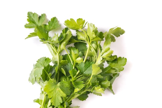 bunch of organic fresh parsley isolated on white background
