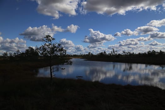 swamp autumn National Park Kemeri Latvia landscapes