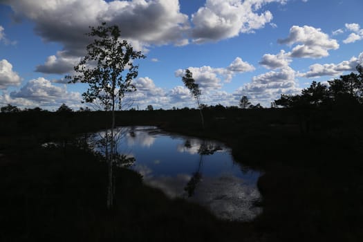 swamp autumn National Park Kemeri Latvia landscapes