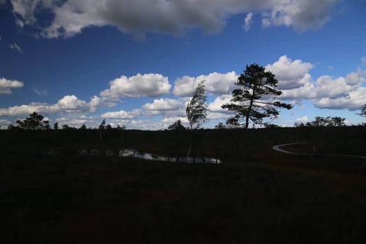 swamp autumn National Park Kemeri Latvia landscapes