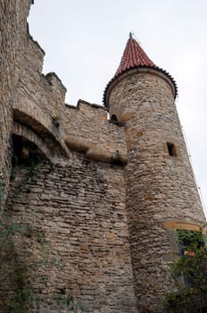 Medieval Kokorin castle in the Czech Republic.