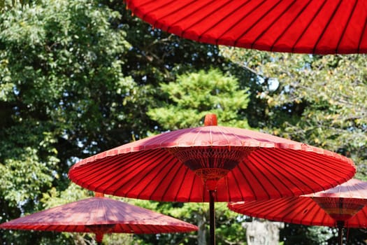 Red umbrella and used in Japanese matcha tea ceremony