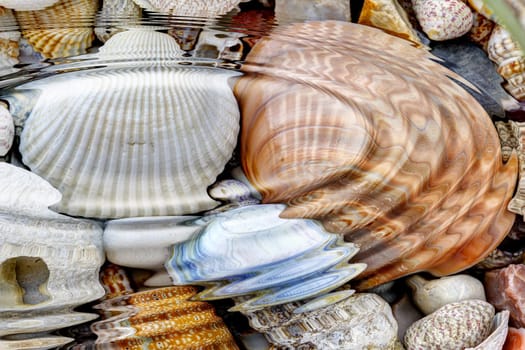 Abstract image of the water ripples over the stone pebbles - digitally altered