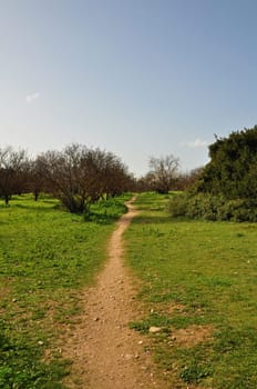 Crooked trail footpath through park. Green grass and blue sky landscape.