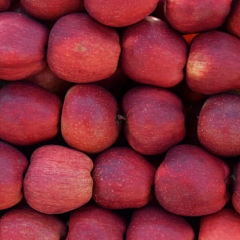 Pile of red apples fresh fruit background texture.