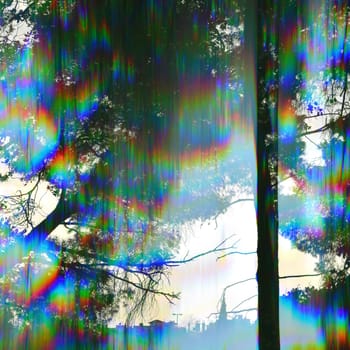 Trees silhouette and distant city buildings through vintage prism filter abstract colorful light rays.