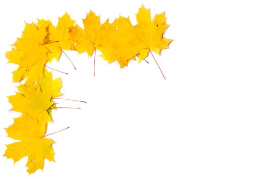 Autumn composition. Frame made of autumn maple leaves on white background. Flat lay, top view, copy space