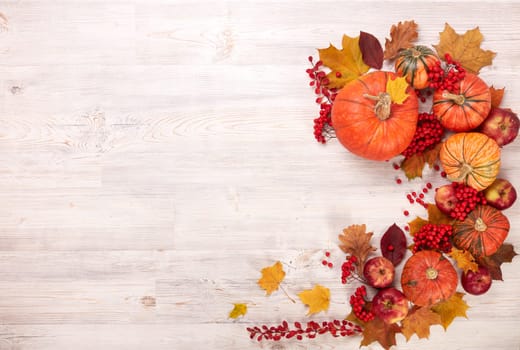 Festive autumn still life with pumpkins, red apples, berries and leaves on light wooden background. Top view with copy space. Concept of autumn harvest, happy Thanksgiving day or Halloween.