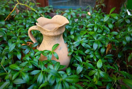 Old broken ceramic jug in green leaves. Close up