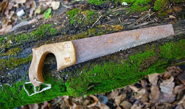 Old rusty hand saw on a wooden board covered with moss. Close up