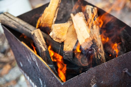 Burning wood. Fire in the grill closeup