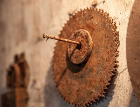 Old rusty circular saw a wall background. Close up