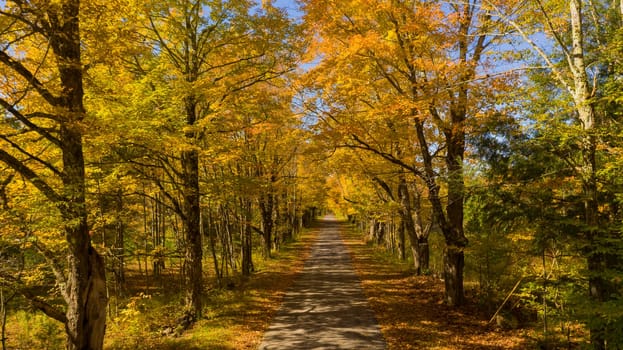 Desolate country road has leaves falling in autumn season New York
