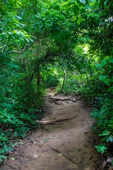 Beautiful landscape of Erawan falls at the national park of Kanchanaburi province, Thailand