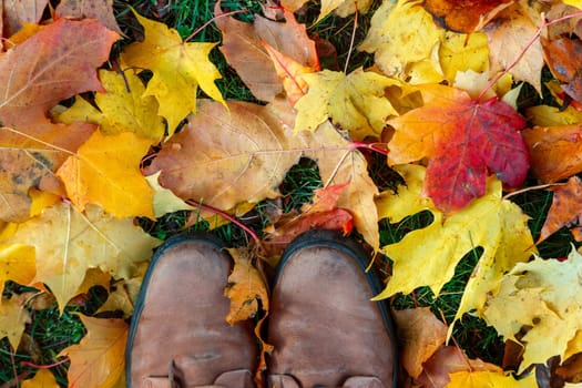 Fragment of brown boots standing on fallen yellow leaves. Season change concept. autumn season time.
